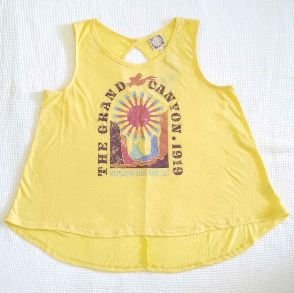 TRU Self "The Grand Canyon 1919" Swing Tank - Picture 13 of 13